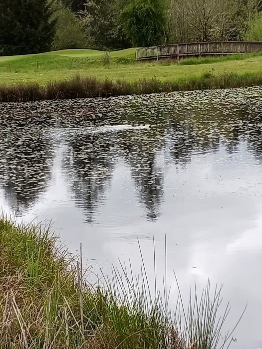 Mallard Creek Golf and RV Resort Picture 3