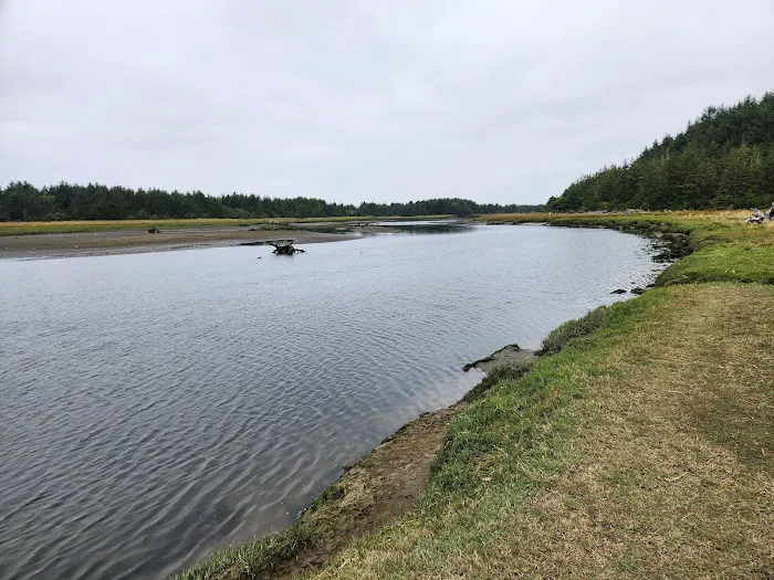 The Driftwood RV Resort and Campground Picture 8