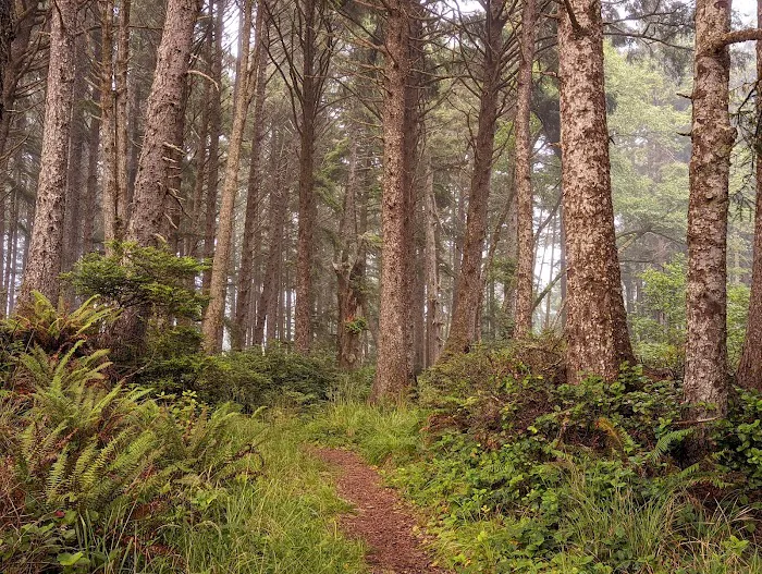 The Driftwood RV Resort and Campground Picture 2