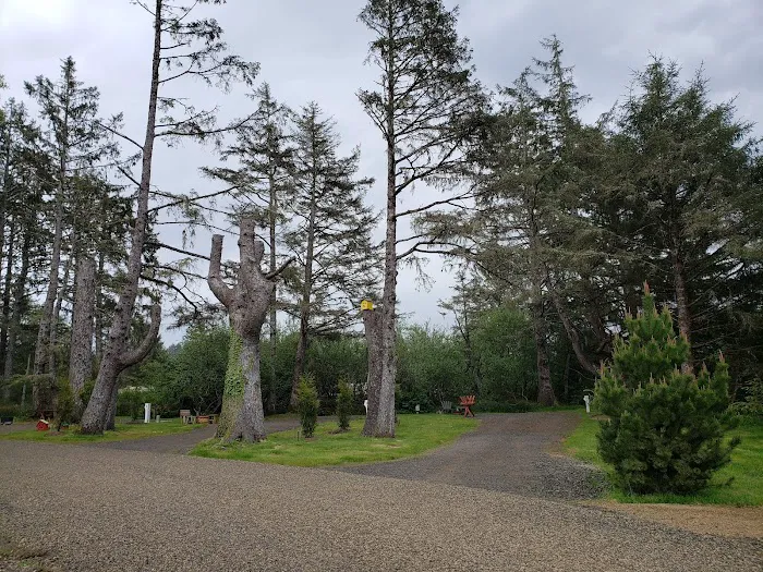 The Driftwood RV Resort and Campground Picture 4