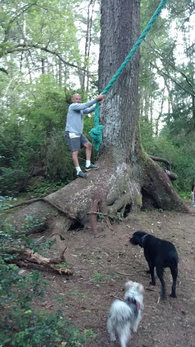 The Driftwood RV Resort and Campground Picture 6