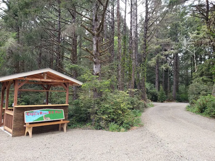 The Driftwood RV Resort and Campground Picture 5