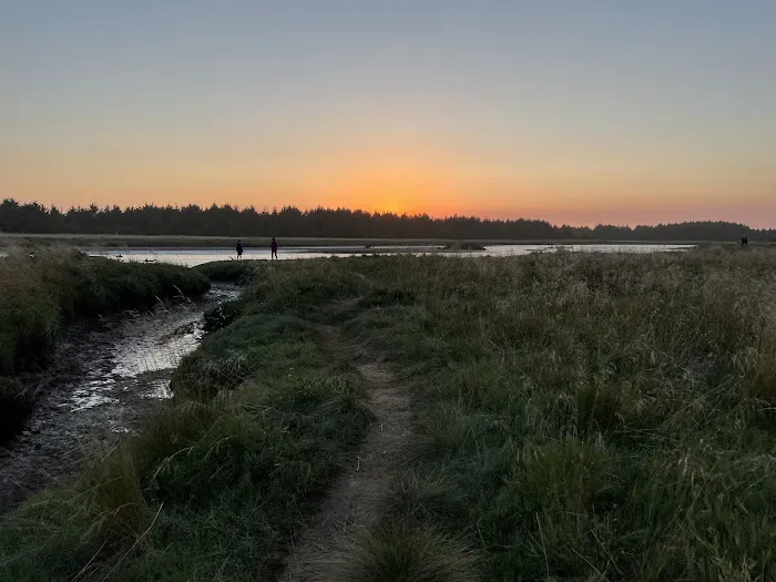 The Driftwood RV Resort and Campground Picture 10