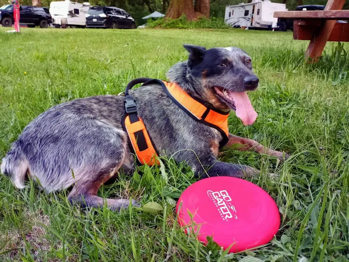 Big Spruce Resort RV Park & Cabin Rental Picture 2