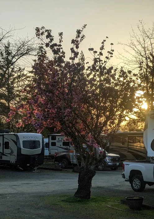 Elma RV Park Picture 7