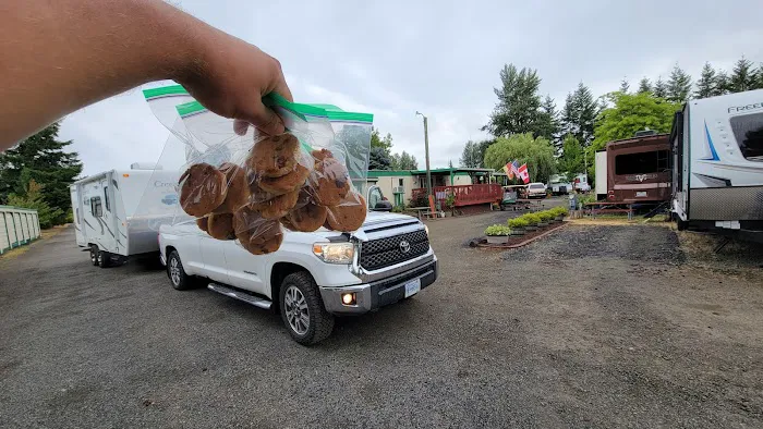 Elma RV Park Picture 6