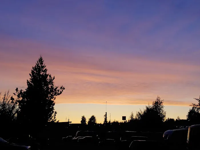 KM Resorts - Travel Inn RV Resort Picture 2