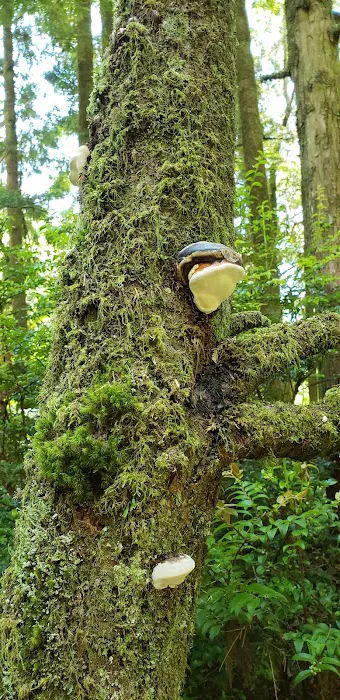 Boiler Bay RV park Picture 6