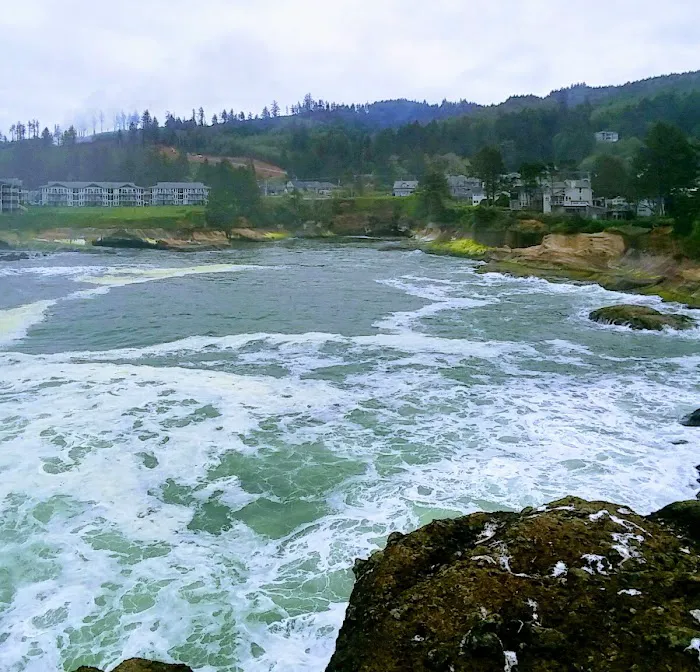 Martin's Trailer Harbor Picture 3