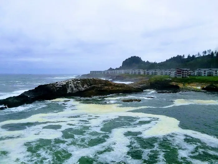 Martin's Trailer Harbor Picture 1