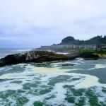 Martin's Trailer Harbor