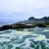 Martin's Trailer Harbor ico