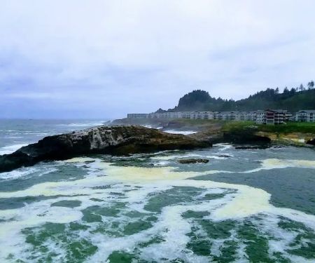 Martin's Trailer Harbor