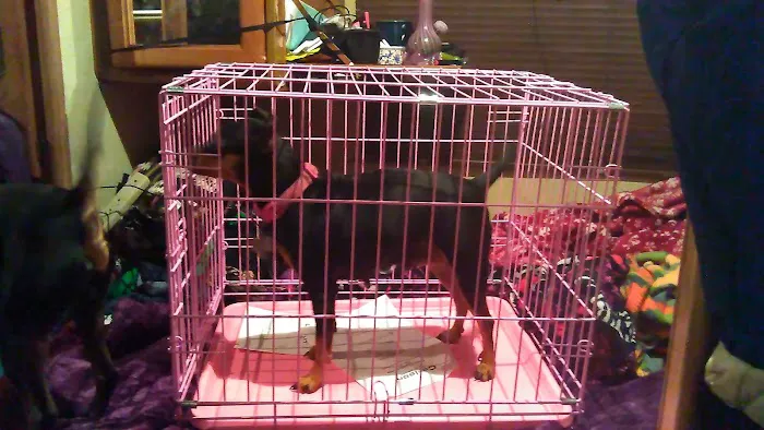 Riverview RV Park Picture 1