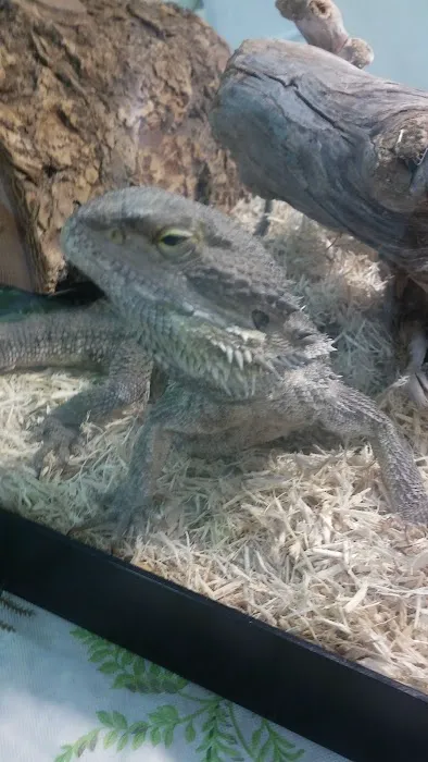 Town & Country Mobile Manor Picture 2