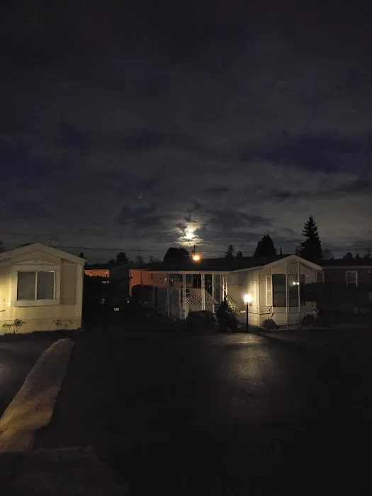 Town & Country Mobile Manor Picture 3