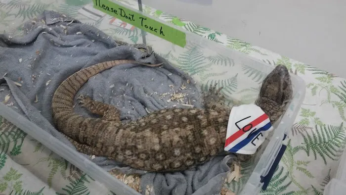 Town & Country Mobile Manor Picture 4