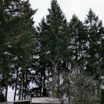 Crestview Community LLC