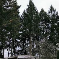 Crestview Community LLC ico