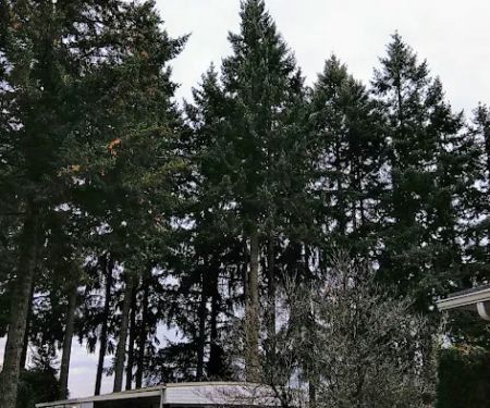 Crestview Community LLC