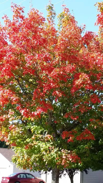 Meadowbrook Mobile Home Park Picture 1