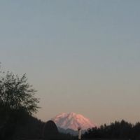 Mountain Meadows Manufactured ico