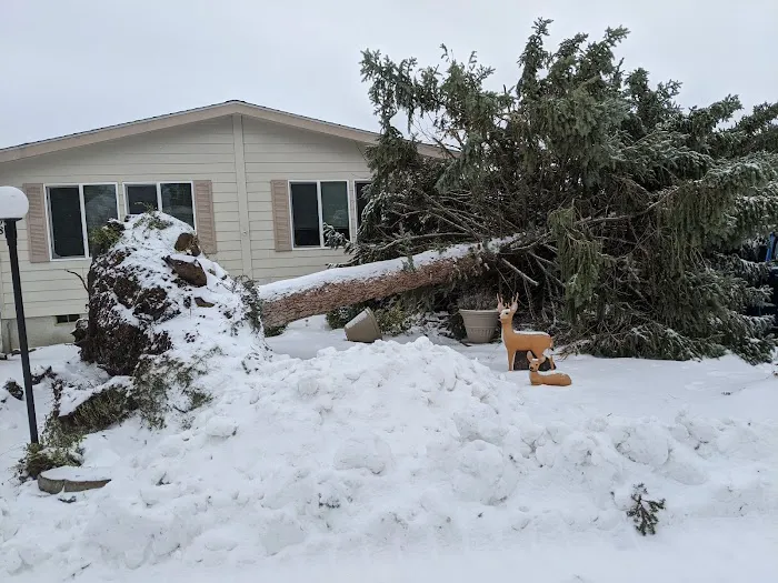 Mountain Villa Estates 55+ Community Picture 4