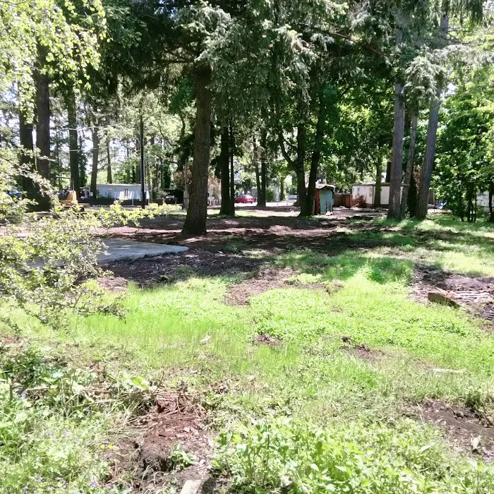 Karwan Village Picture 8