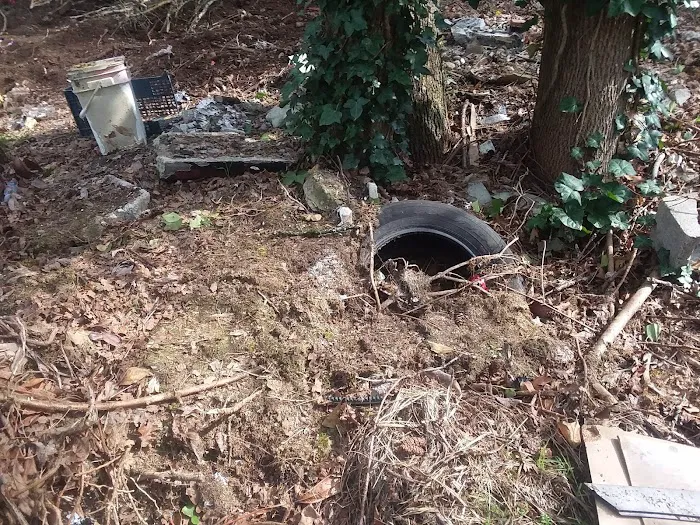 Karwan Village Picture 4