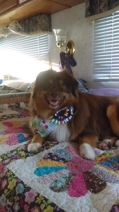 South Sound RV Park Picture 1