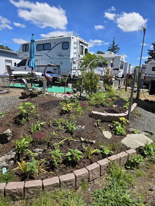 South Sound RV Park Picture 7