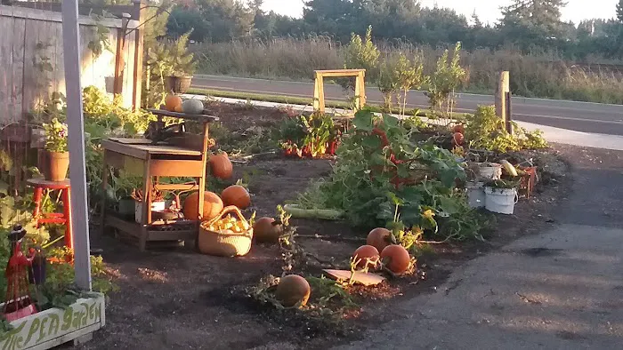 Elmwood Mobile Home Park Picture 4