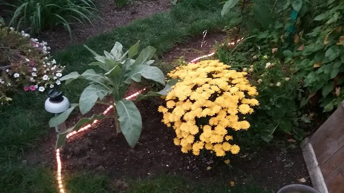 Elmwood Mobile Home Park Picture 6