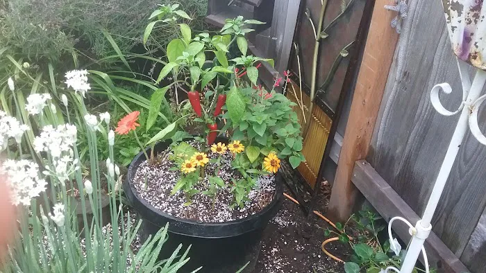 Elmwood Mobile Home Park Picture 7