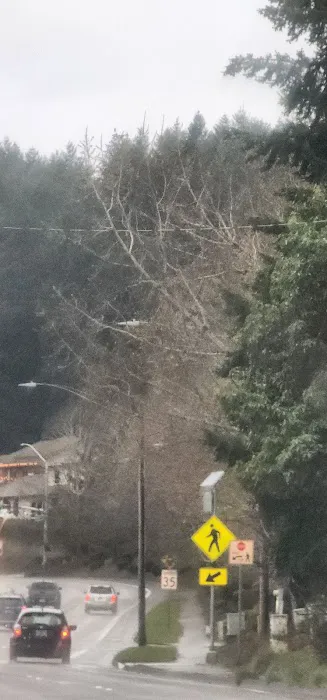 Highland View Mobile Estates Picture 6