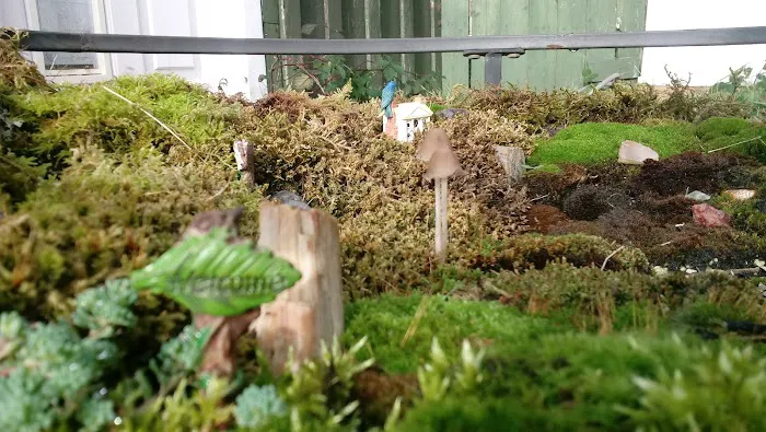 Corvallis Mobile Home Park Picture 6