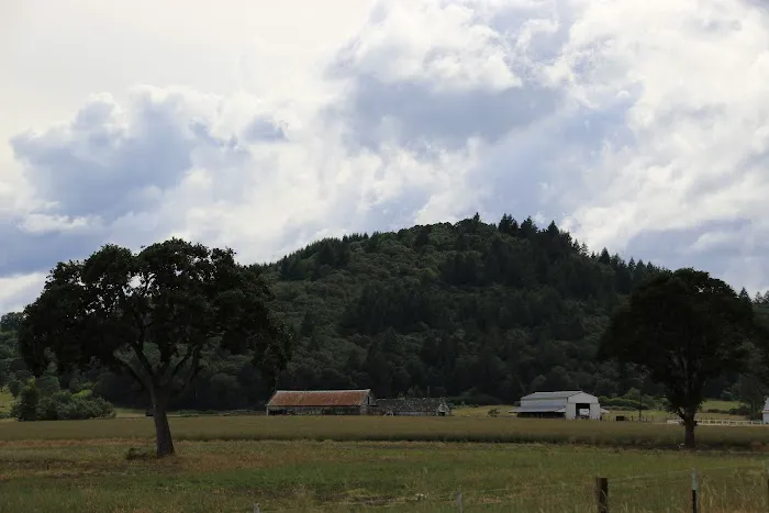 Corvallis Mobile Home Park Picture 4