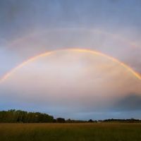 Corvallis Mobile Home Park ico