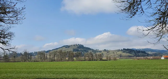 Benton Oaks RV Campground Picture 1