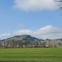 Benton Oaks RV Campground ico