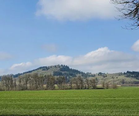 Benton Oaks RV Campground