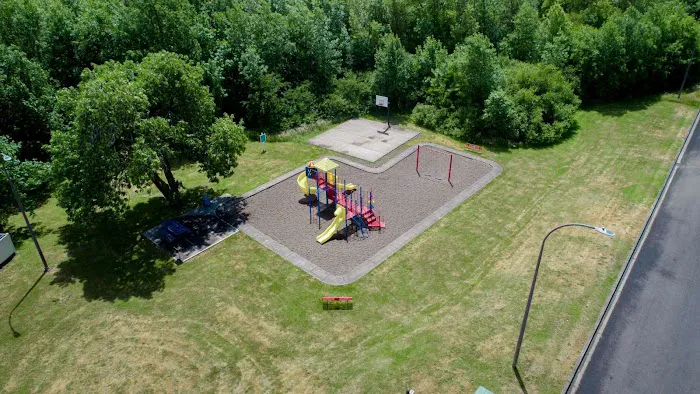 Forest Meadows Picture 6