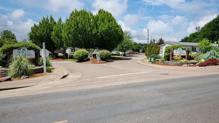 Forest Meadows Picture 4