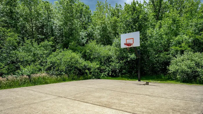 Forest Meadows Picture 2