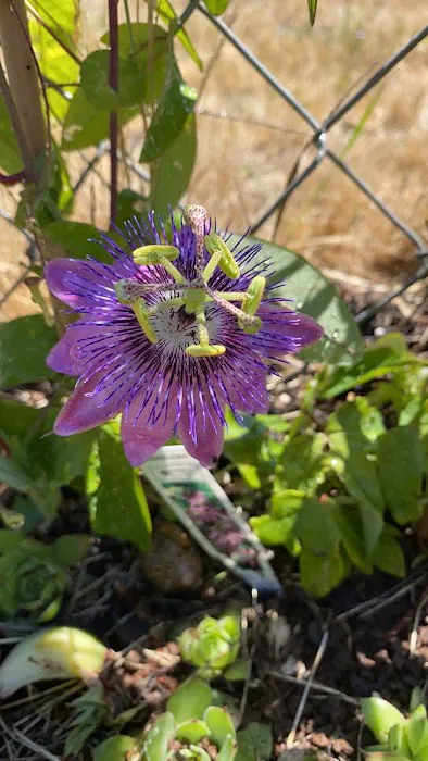 Tamarack Ridge Estates Picture 1