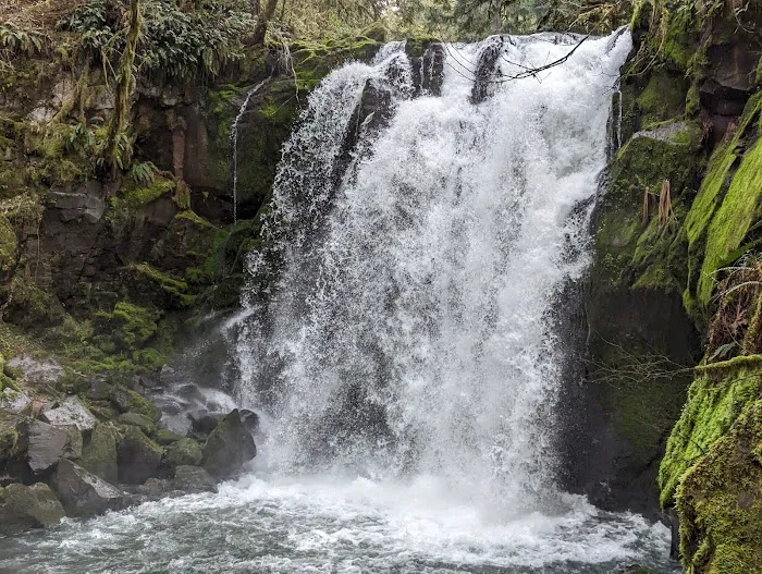 Wagon Wheel Mobile Park Picture 5