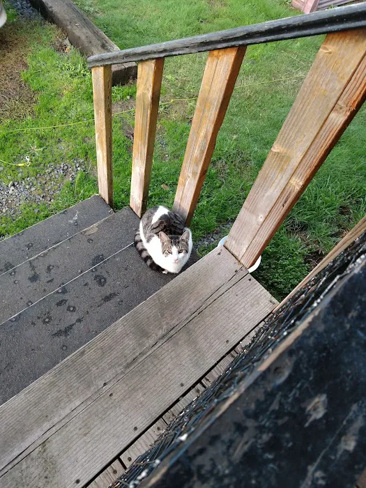 Wagon Wheel Mobile Park Picture 9