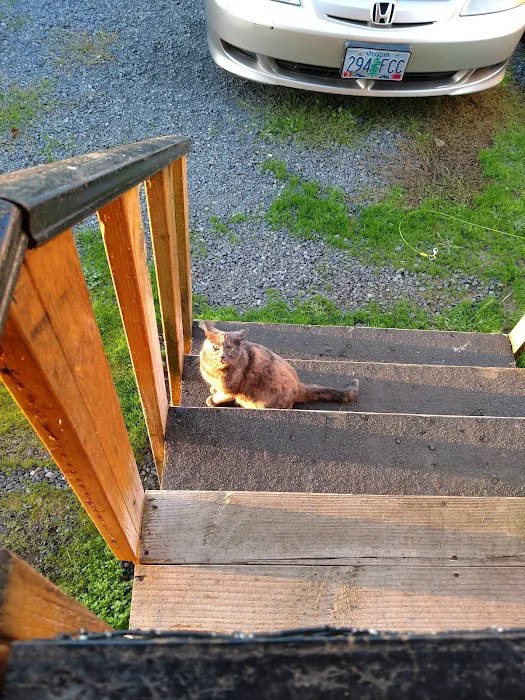 Wagon Wheel Mobile Park Picture 10