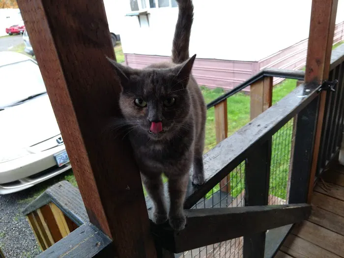 Wagon Wheel Mobile Park Picture 2