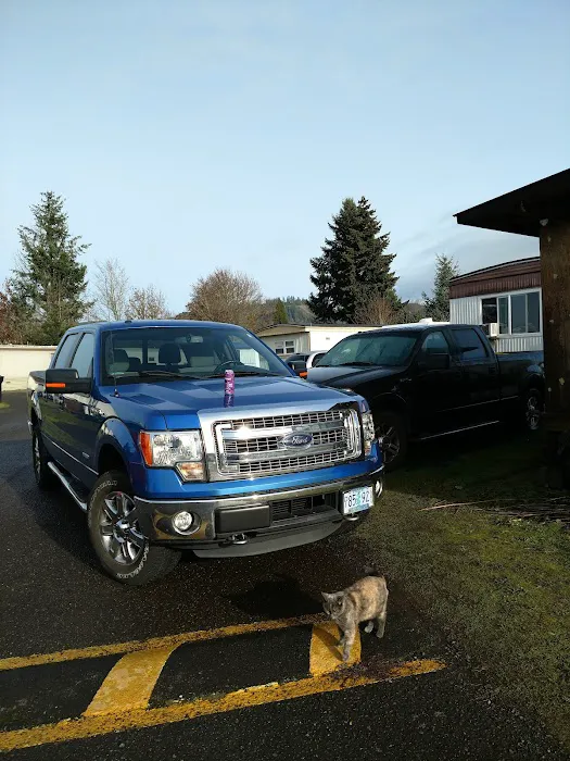 Wagon Wheel Mobile Park Picture 6